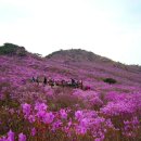 4//5(토) 창녕 영취산(영축산) 잔달래 암릉산행 이미지