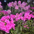 벌막공원 이미지