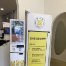 여수 진남관 간식 좌수영바게트버거