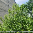 무주상상반디숲 형설지공도서관 이미지