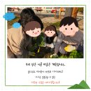 늘봄초등학교 이미지