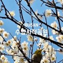 사적공영주차장 이미지