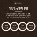 로웰성형외과의원 이미지