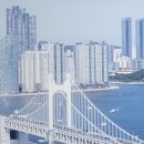 비엔케이(BNK)캐피탈 이미지