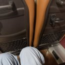 신탄진제1경로당 | 일급 약 20만원 신탄진 cj 상하차 알바 후기 (부산에서 감)