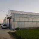 정국농장 이미지