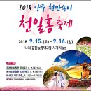 2018 양주나라공원 천만송이 천일홍 축제 전 전경 이미지