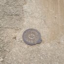 다래농장 이미지