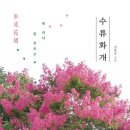 수류화개 대구신문
