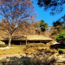 김유정사랑방 이미지