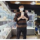 아담스펫 강아지분양 고양이분양 강남점 이미지