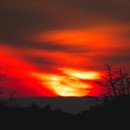 몽산포항 이미지