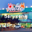 대천항수산시장 | 대천항 수산시장 횟집 조개 가격 회포장 후기