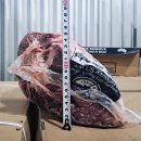 호주산 OAKEY 558 ANGUS GF 볼라전각 이미지