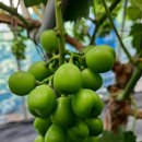 경주 둥지가족펜션 이미지