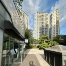 금화초교(병설)유치원 이미지