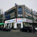 김순덕 | [송내역 맛집] 양은이네 오징어보쌈과 알 가득 동태탕 물냉면 꿀조합 후기(주차)