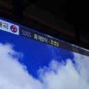 엠제트노래타운