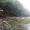 골짜구니농장 이미지