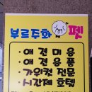 부르주화 펫 이미지