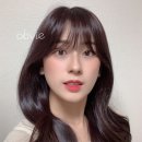 오브비(obvie) 이미지