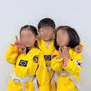 산본유치원 | 군포 산본 유아태권도 추천 💛 해온태권도 유치부 수업 후기