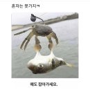 창동포차 이미지