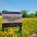 대산문화체육공원(축구장) 네이버블로그
