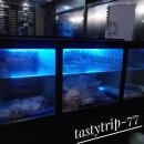 시민도야지 | 광주 화정동 24시 맛집 도야지한마리 짚불초벌 제주 오겹살