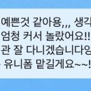 제이로이 이미지