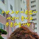 제164회 어등클럽 월례대회 상생 이미지