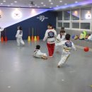 진영라온태권도장 이미지