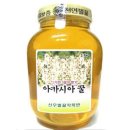 허니 하우스 이미지