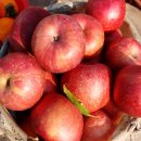 북안동농협 이미지