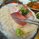 목동역 방어,광어 제철회 가성비맛집 28청춘어시장