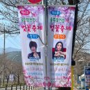 3월31일 울산 벚꽃축제ㅡ 김연자 출연 이미지