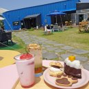 오대양축산 | 내가 찾은 속초 예쁜 카페 외 5곳