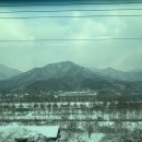 백림스테이 이미지