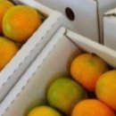 위미 필하우스 이미지