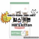 키튼코리아 | 수의사강추★) 힐스 고양이 키튼 사료 후기 #새끼고양이 #1kg #냥줍 #중성화
