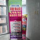 닥터수안마원 이미지