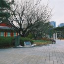 경상감영공원 이미지
