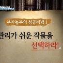 부자작물재배