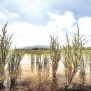 목포신안군농협조합공동사업법인 이미지