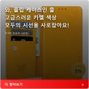 디자인앱솔