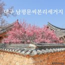 1872 핀 | 대구 남평문씨본리세거지 매화 명소 위치 주차장 개화상황 (25.3.22.)