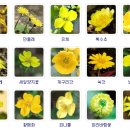 이스토리 이미지