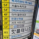 핫플테니스