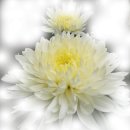 신사2-017 이미지