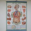 에스엠학원